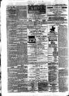 Horsham, Petworth, Midhurst and Steyning Express Tuesday 07 January 1879 Page 4