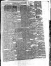 Horsham, Petworth, Midhurst and Steyning Express Tuesday 11 March 1879 Page 3