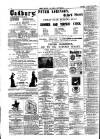 Horsham, Petworth, Midhurst and Steyning Express Tuesday 10 August 1880 Page 4