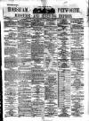 Horsham, Petworth, Midhurst and Steyning Express Tuesday 03 January 1893 Page 1