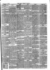 Horsham, Petworth, Midhurst and Steyning Express Tuesday 18 August 1896 Page 3