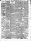 Horsham, Petworth, Midhurst and Steyning Express Tuesday 11 April 1899 Page 3