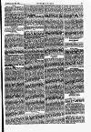 Southern Times and Dorset County Herald Saturday 19 January 1861 Page 7