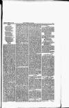 Southern Times and Dorset County Herald Saturday 03 February 1872 Page 11
