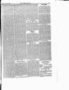 Southern Times and Dorset County Herald Saturday 20 April 1872 Page 11