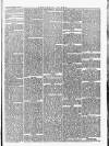 Southern Times and Dorset County Herald Saturday 28 February 1874 Page 5