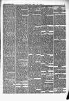 Southern Times and Dorset County Herald Saturday 30 January 1875 Page 5