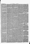 Southern Times and Dorset County Herald Saturday 20 March 1875 Page 3