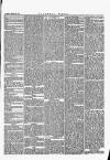 Southern Times and Dorset County Herald Saturday 20 March 1875 Page 5