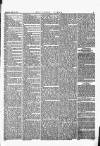 Southern Times and Dorset County Herald Saturday 17 April 1875 Page 3