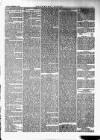Southern Times and Dorset County Herald Saturday 05 February 1876 Page 5