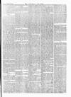 Southern Times and Dorset County Herald Saturday 08 February 1879 Page 7