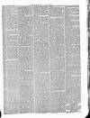 Southern Times and Dorset County Herald Saturday 12 March 1881 Page 5