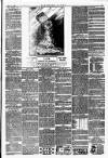 Southern Times and Dorset County Herald Saturday 08 February 1902 Page 3