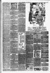 Southern Times and Dorset County Herald Saturday 22 February 1902 Page 7