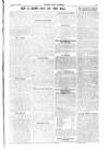 Votes for Women Friday 14 April 1911 Page 5