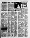 Sports Argus Saturday 13 February 1988 Page 27