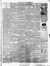 Croydon's Weekly Standard Saturday 02 January 1897 Page 7