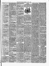 Croydon's Weekly Standard Saturday 08 April 1899 Page 7