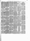 Buckingham Express Saturday 27 June 1868 Page 3