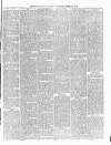 Buckingham Express Saturday 22 March 1879 Page 3