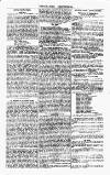 Luton Weekly Recorder Saturday 30 June 1855 Page 5