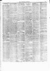 Luton Reporter Saturday 22 December 1883 Page 13