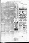 Luton Reporter Saturday 10 January 1885 Page 7