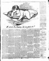 Luton Reporter Saturday 25 January 1890 Page 3