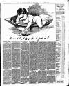 Luton Reporter Saturday 01 March 1890 Page 3