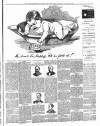 Luton Reporter Saturday 10 October 1891 Page 3