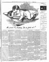 Luton Reporter Saturday 21 November 1891 Page 3