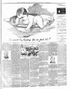 Luton Reporter Saturday 05 December 1891 Page 3