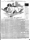 Luton Reporter Saturday 02 January 1892 Page 3