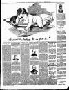 Luton Reporter Saturday 13 February 1892 Page 3