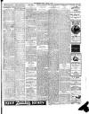 Luton Reporter Friday 18 January 1907 Page 5