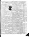 Luton Reporter Friday 18 January 1907 Page 7