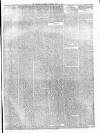 Cheltenham Examiner Wednesday 01 March 1876 Page 3