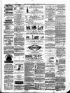 Cheltenham Examiner Wednesday 04 July 1877 Page 9