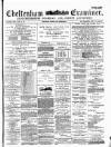 Cheltenham Examiner Wednesday 24 April 1878 Page 1
