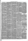 Cirencester Times and Cotswold Advertiser Monday 13 July 1863 Page 7