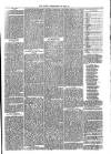 Cirencester Times and Cotswold Advertiser Monday 09 April 1866 Page 5