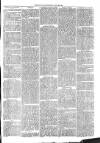 Cirencester Times and Cotswold Advertiser Monday 05 July 1869 Page 5