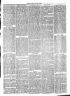 Cirencester Times and Cotswold Advertiser Monday 04 October 1869 Page 3