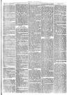Cirencester Times and Cotswold Advertiser Monday 04 April 1870 Page 3