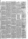 Cirencester Times and Cotswold Advertiser Monday 16 May 1870 Page 7