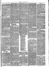 Cirencester Times and Cotswold Advertiser Monday 20 June 1870 Page 3