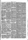 Cirencester Times and Cotswold Advertiser Monday 03 April 1871 Page 3