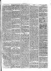Cirencester Times and Cotswold Advertiser Monday 05 June 1871 Page 7