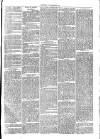 Cirencester Times and Cotswold Advertiser Monday 26 June 1871 Page 3